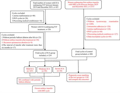 Clinical efficacy of hysteroscopic adhesiolysis combined with periodic balloon dilation for intrauterine adhesion in IVF treatment